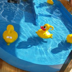 piscina-patos-juego